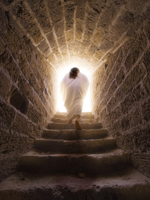 istock_000008712641large